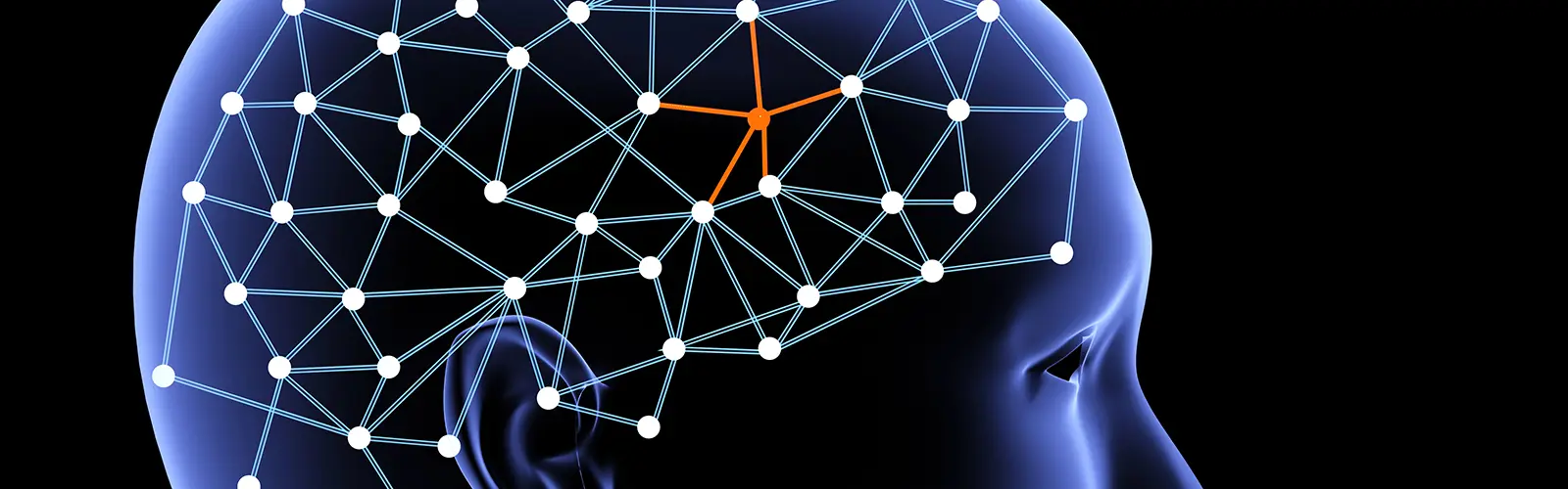 Digital illustration of a human head in profile with a transparent skull, revealing neural connections and networks—highlighted with orange lines—to represent neurofeedback inside the brain. Interconnected white dots and blue lines stand out against a black background.